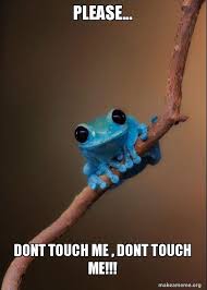 Chill Frog